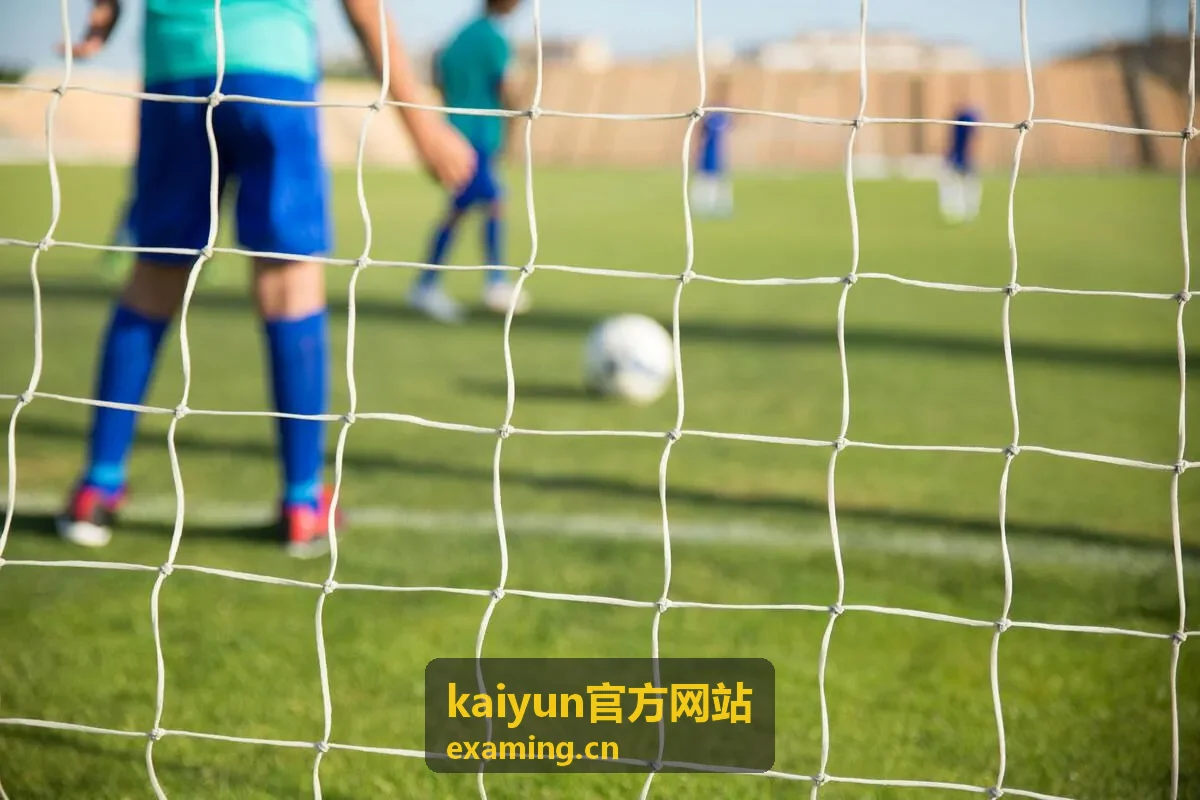 kaiyun官方网站会员内容更新节奏与阅读顺序示意