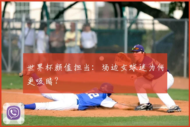 世界杯颜值担当:场边女球迷为何更吸睛?