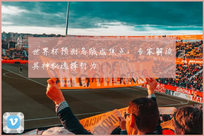 世界杯预测乌贼成焦点，专家解读其神秘选择行为