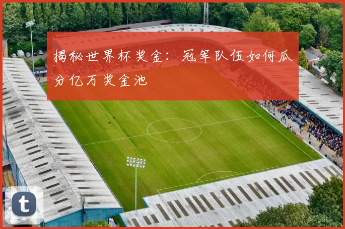 揭秘世界杯奖金：冠军队伍如何瓜分亿万奖金池