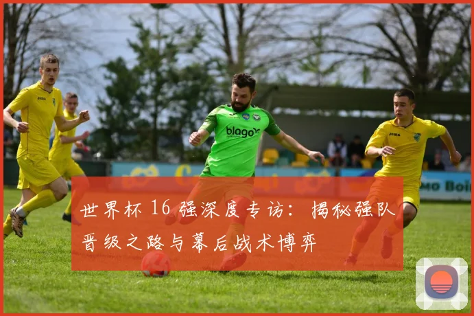 世界杯 16 强深度专访:揭秘强队晋级之路与幕后战术博弈