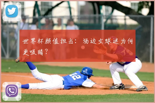 世界杯颜值担当:场边女球迷为何更吸睛?