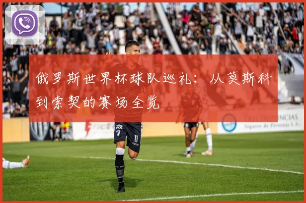 俄罗斯世界杯球队巡礼：从莫斯科到索契的赛场全览