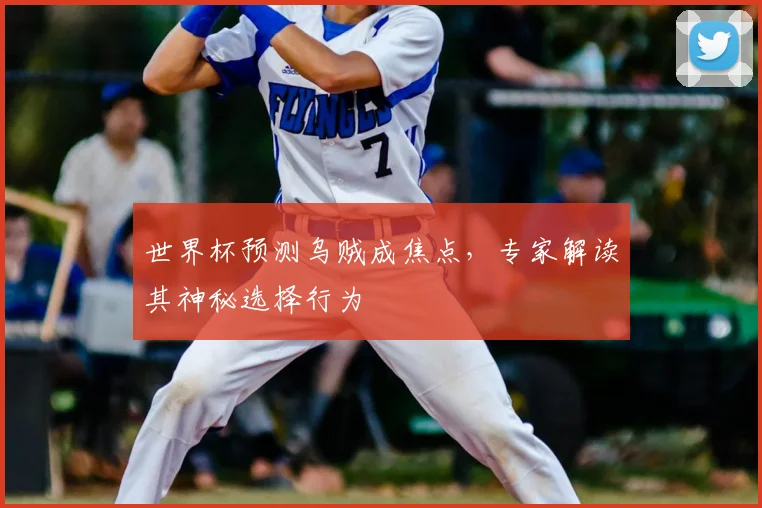 世界杯预测乌贼成焦点，专家解读其神秘选择行为
