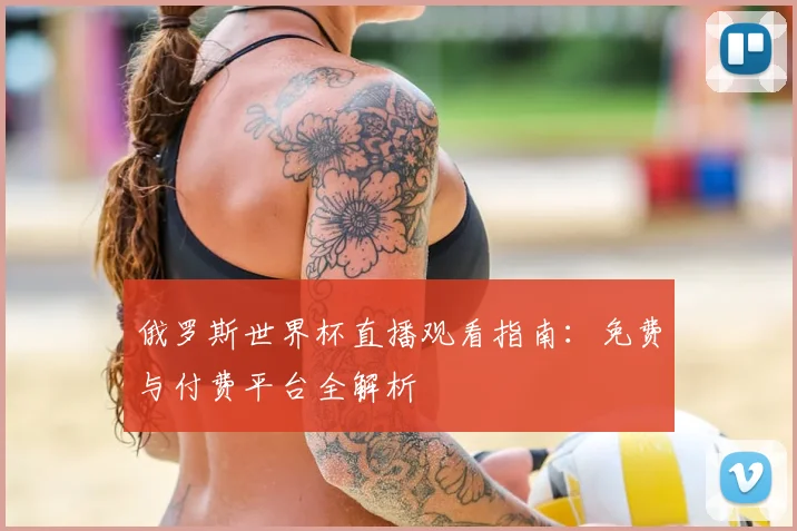 俄罗斯世界杯直播观看指南：免费与付费平台全解析