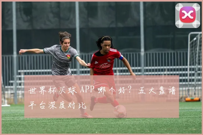 世界杯买球 APP 哪个好？五大靠谱平台深度对比