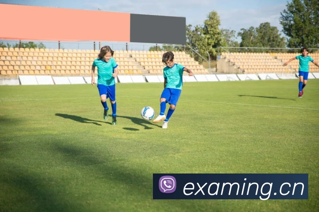 爱游戏ayx最新官网APP 封面图