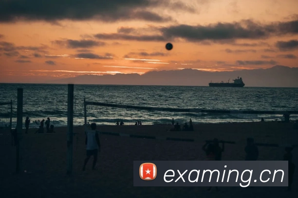AI Risk Control